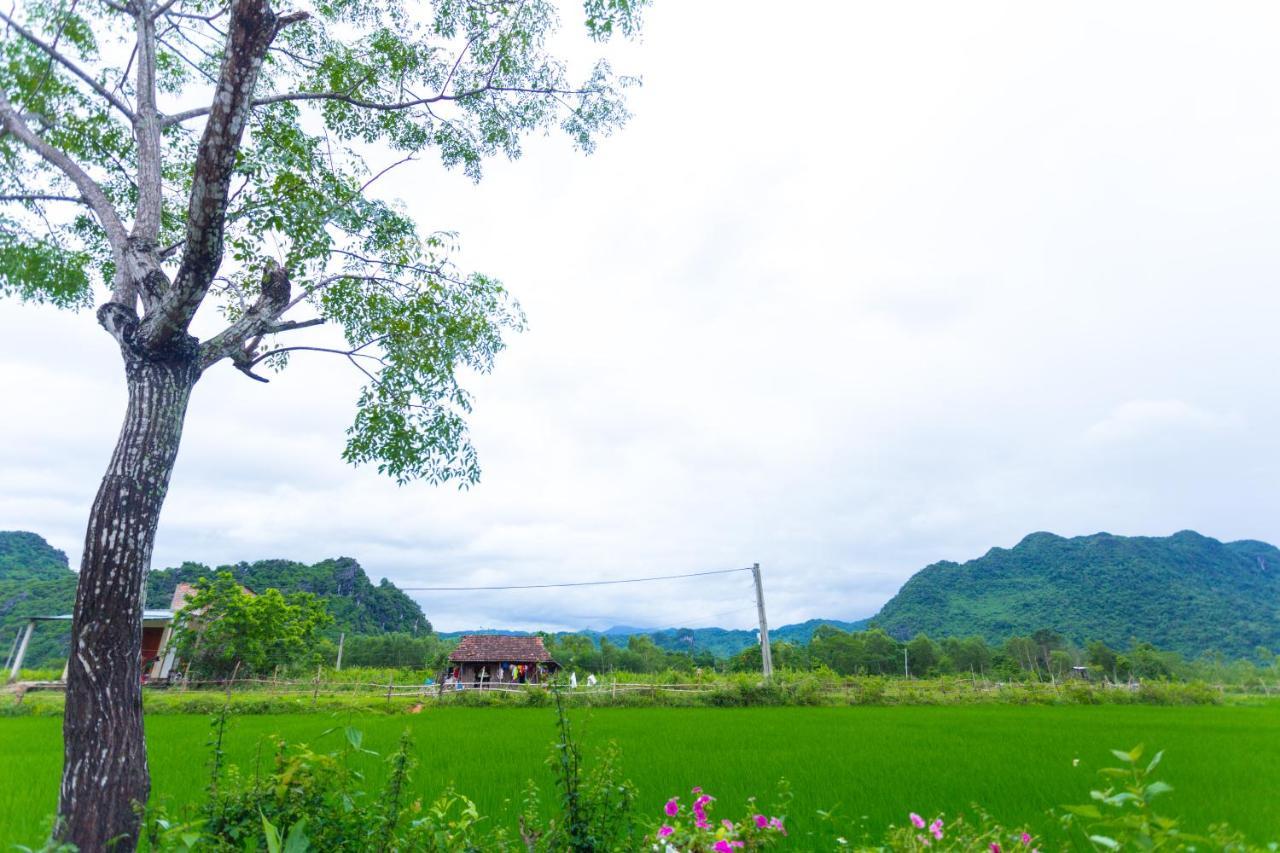 Pomelo Homestay Phong Nha Exterior foto