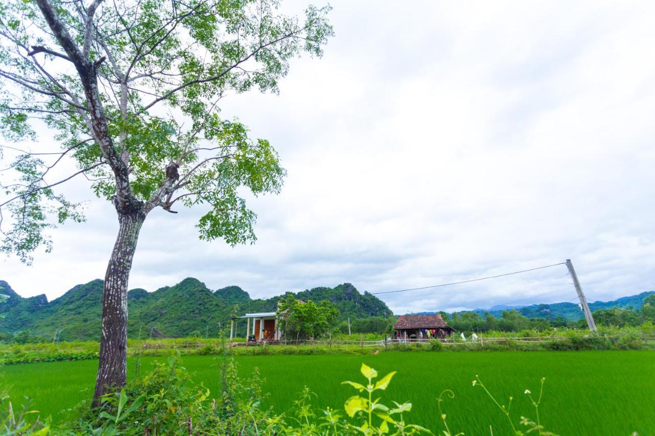 Pomelo Homestay Phong Nha Exterior foto
