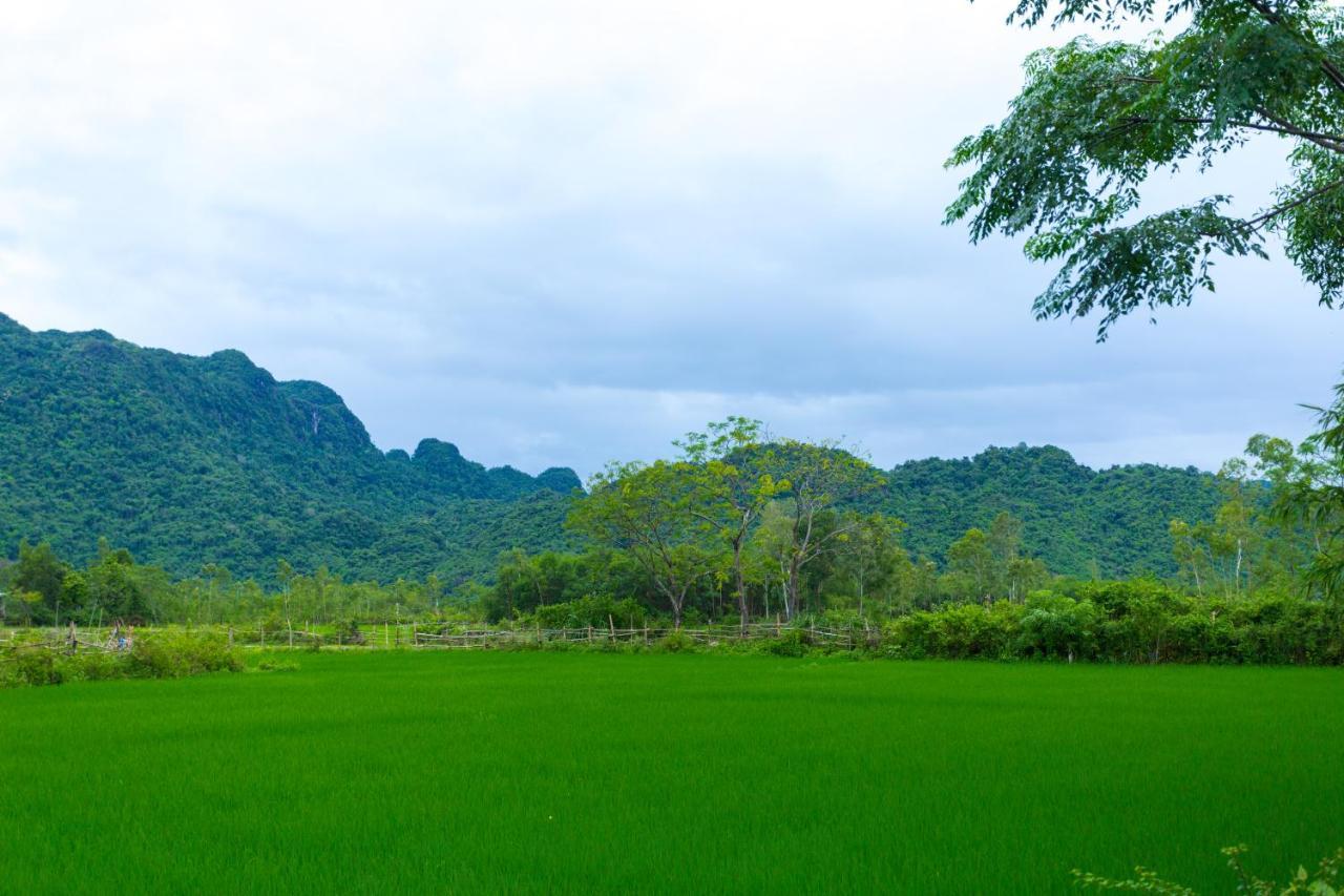 Pomelo Homestay Phong Nha Exterior foto