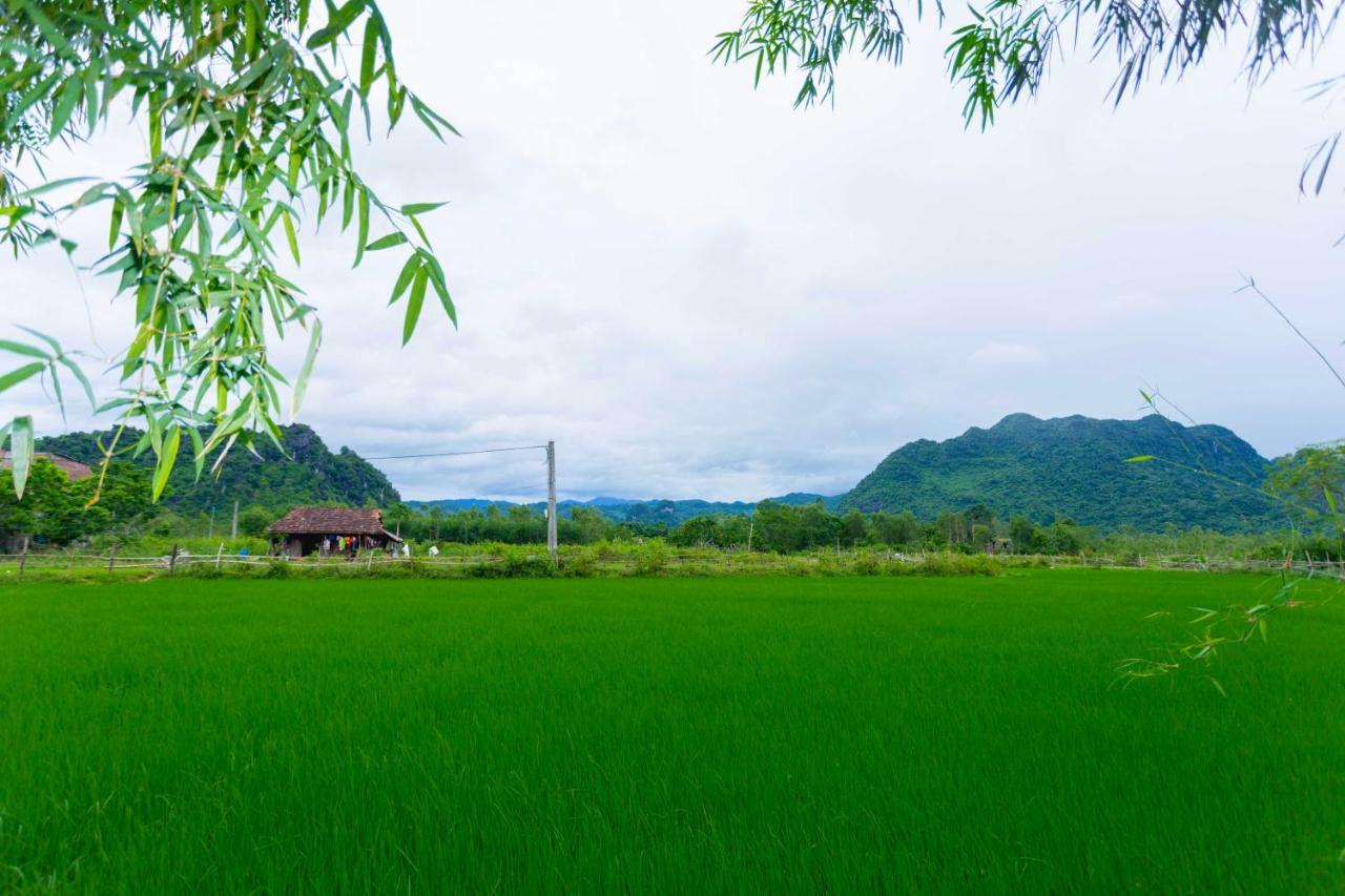 Pomelo Homestay Phong Nha Exterior foto